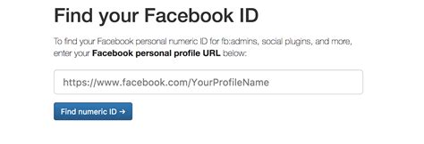 The Drawbacks and Limitations of Facebook's Magic Identifier